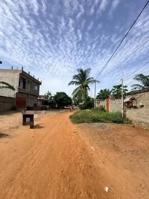 Terrain 327 m² à vendre à Zanguéra Sanyramé – 12 millions FCFA