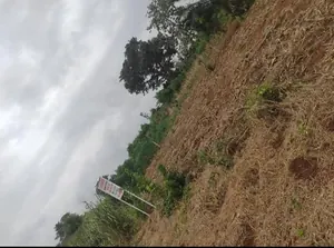 Terrain 1 lot (600 m²) en vente à Dalavé, non loin de la grande voie de Tsévié à Kpomé – 4 millions FCFA le lot — photo 3