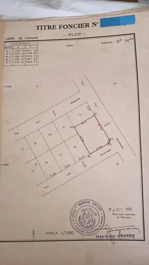 Vente d'un terrain à Atikoumé, 1 lot clôturé, à 300 m du goudron – 70 000 000 FCFA à débattre