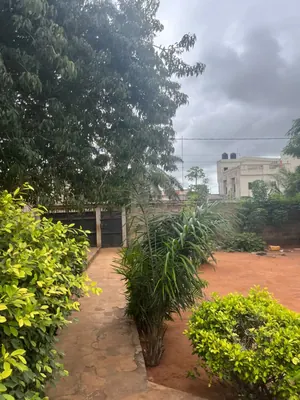 Vente d'une maison à Hedzranawoé, 3 pièces, 600 m² – 55 millions FCFA à débattre — photo 4