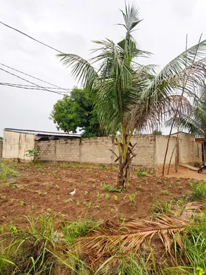 Terrain 340 m² en vente à Légbassito Kognito – 7,5 millions FCFA — photo 8