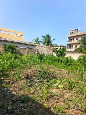 Terrain 397 m² en vente à Zanguera, vue directe sur le goudron route Lomé-Kpalimé – 25 millions FCFA — photo 3