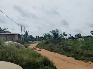 Terrain demi-lot de 300 m² en vente à Zanguera UCAO – 10 millions FCFA — photo 4