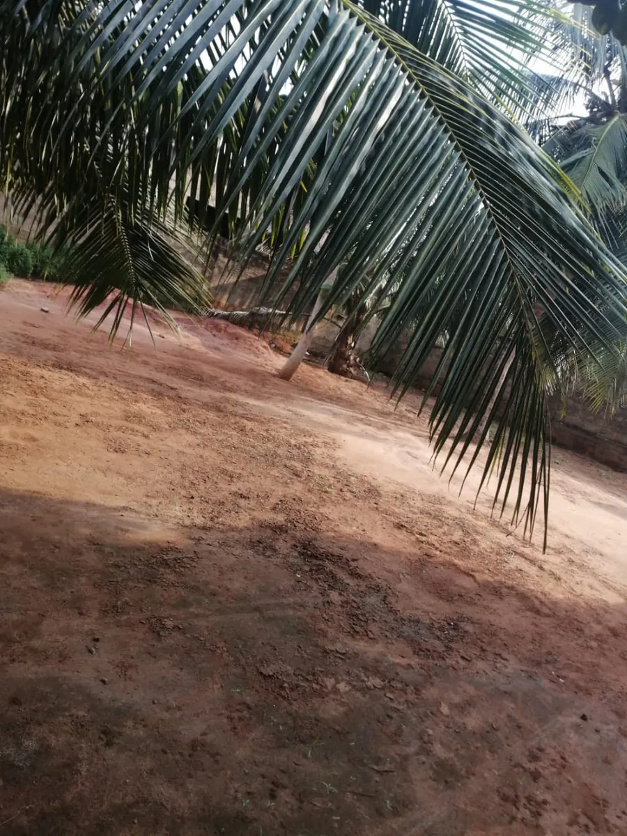 Terrain 1 lot clos avec 2 pièces en vente à Adidogomé Segbé Klemè – 27 millions FCFA