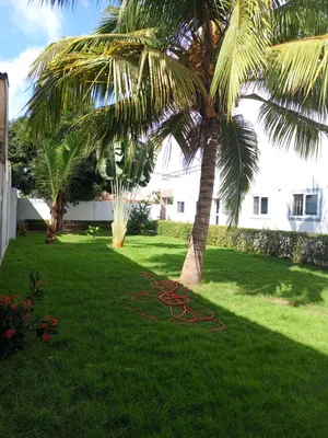 Appartement meublé 3 chambres en location à Adidogomé Wonyome – 600 000 FCFA/mois — photo 3