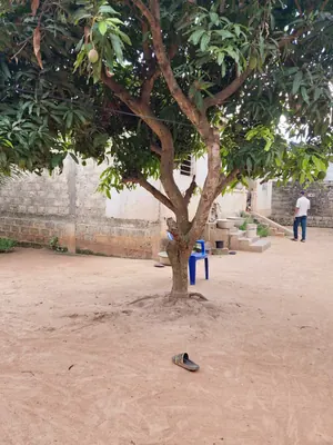 Demi-lot bâti 2 chambres en vente à 150m du goudron à Légbassito Avinato – 15 millions FCFA — photo 7