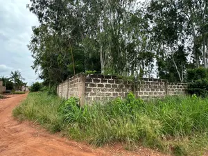 Terrain 600 m² en angle de rue à vendre à Légbassito-tové – 25 000 000 FCFA le lot