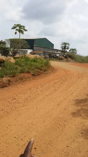 Terrain agricole de 636 hectares en vente à Badja – 2,5 millions FCFA l'hectare