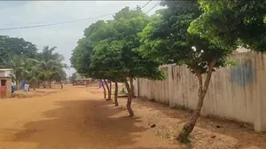 Vente d'une villa à Agbata Catholique, 4 chambres salon, 700 m², avec dépendance et garage – 25 millions FCFA — photo 3