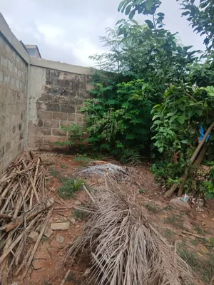 Terrain de 150 m² en vente derrière l'entreprise de l'Union à Lomé – 8,5 millions FCFA — photo 2