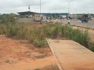 Vente de terrain à Zanguera, 2 lots, bord du goudron Lomé-Kpalimé, sur la colline avant péage d'Aképé – 55 millions FCFA — photo 4