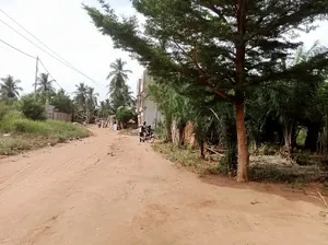 Terrain 1 lot en vente à Lankouvi – 26 millions FCFA