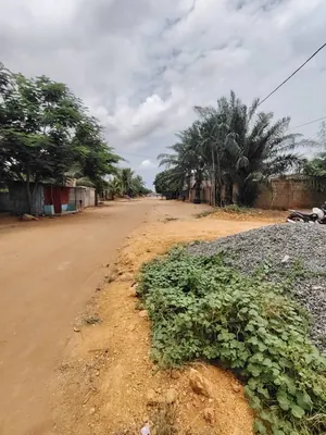 Vente d'un terrain à Zossimé, demi-lot entre Zossimé et Amarenta, proche du Rond-Point Zossimé – 10 millions FCFA