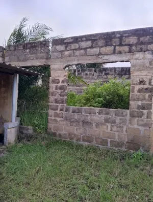 Terrain 3/4 de lot en vente à Tokoin Hôpital – 35 millions FCFA — photo 3