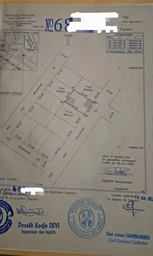 Terrain de 602 m² en vente à Zanguera Lycée à 150m du goudron – 25 millions FCFA