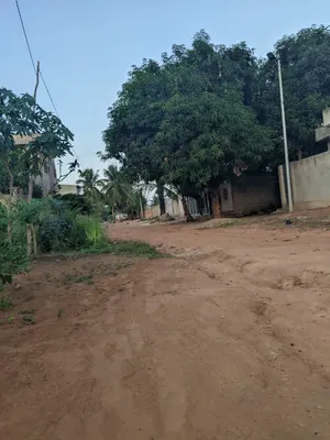 Terrain 4 lots en vente à Akato Viépé – 17 millions FCFA le lot — photo 4