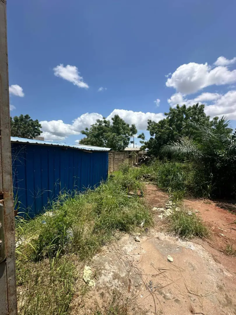 Terrain demi-lot clôturé en vente à Sanguera IPG – 15 millions FCFA