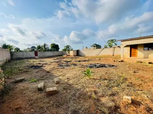 Terrain en vente à angle de rue à Zanguera Klémé, Château – 20 millions FCFA — photo 3