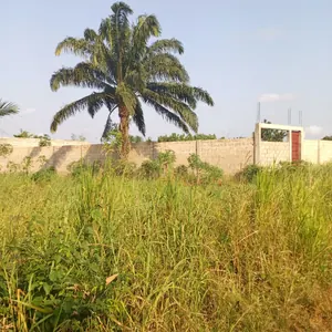 Terrain 150 m² à vendre à Apessito Avenyakè – 3 millions FCFA
