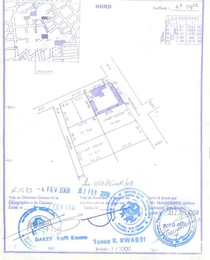 Terrain 1 lot en vente en angle de rue à Dékon Anani Santos – 300 millions FCFA