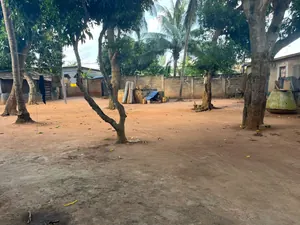 Terrain 1 lot et demi en vente à Adidogomé Atilamonou – 36 millions FCFA — photo 3