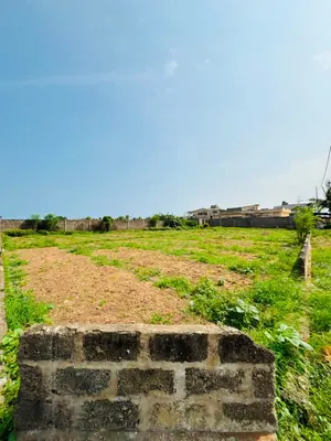 Terrain 900 m² en vente en bordure de goudron et angle de rue à Kpogan – 50 millions FCFA — photo 3