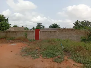 Terrain 2 lots 1200 m² en vente à Yokoe – 25 millions FCFA le lot — photo 2