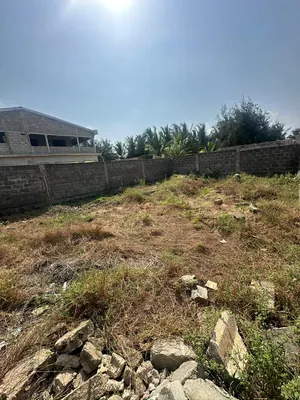 Vente d'un terrain à Kpogan, côté plage, 1/4 de lot carré clôturé, à 50m du goudron – 7 millions FCFA — photo 5