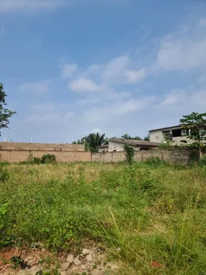Terrain 1 lot (600 m²) en vente à Segbé Akato – 23 000 000 FCFA — photo 3