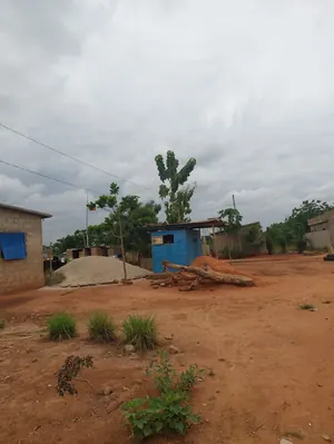 Terrain 300 m² en vente à Apessito Avanyakè – 7 millions FCFA — photo 2