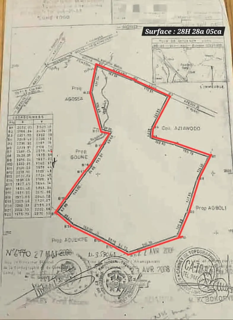 Terrain agricole de 28 hectares en vente à Badja – 3 000 000 FCFA l'hectare
