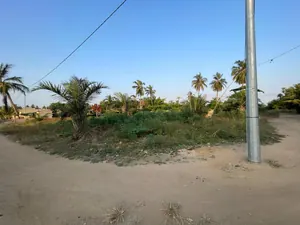 Terrain 1 lot en vente à Agbodrafo Djassémé, angle de rue, bord du goudron – 12 millions FCFA — photo 4