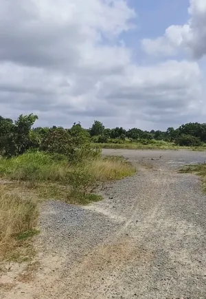 Carrière d'exploitation de roches à gravier sur 10 hectares en vente à Agbélouvé – 950 millions FCFA — photo 2