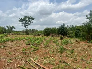 Terrain demi-lot de 298 m² en vente à Kovié Ananissimé – 2 500 000 FCFA — photo 2