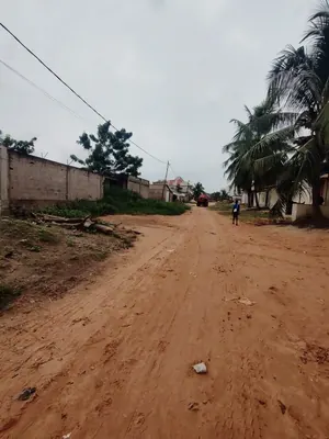Terrain 300 m² en vente proche du goudron à Adidogomé Attigangomé Molo Molo – 18 millions FCFA — photo 5