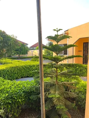 Maison 1 pièce sur 1 lot en vente à Segbé, Lomé – 35 millions FCFA