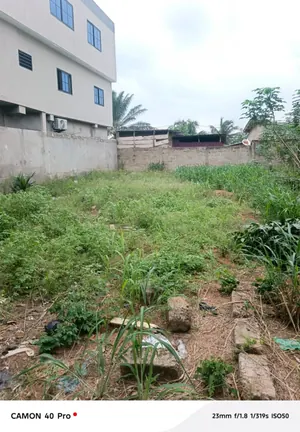 Terrain demi-lot 300 m² en vente à Zanguera-Maco – 17 millions FCFA — photo 3