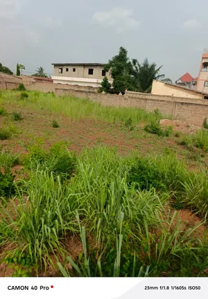 Terrain à vendre à Adidogomé, derrière la base EBOMAF face aux rails – 55 millions FCFA — photo 5