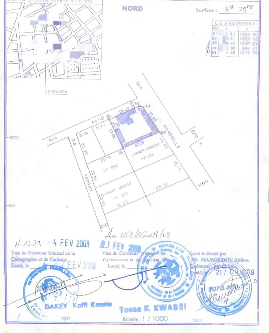 Terrain 1 lot en vente en angle de rue à Dékon Anani Santos – 300 millions FCFA