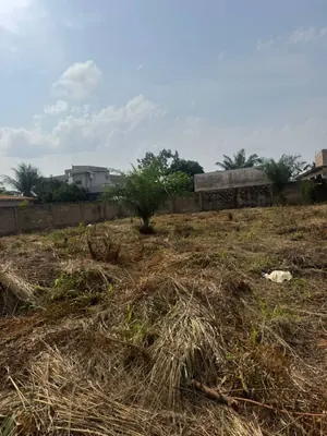 Terrain 1000 m² en vente à Zanguera Klémé Château – 33 millions FCFA — photo 3