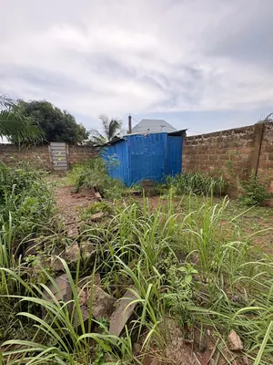 Terrain demi-lot clôturé en vente à Zanguera IPG – 14 millions FCFA — photo 4