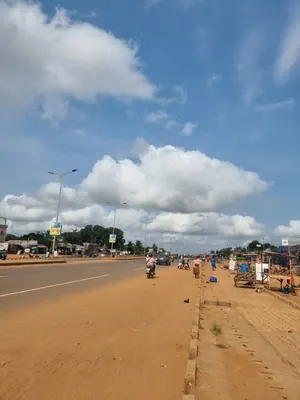 Terrain de 207 m² en vente en bord du goudron à Zanguéra Marché – 35 000 000 FCFA — photo 3