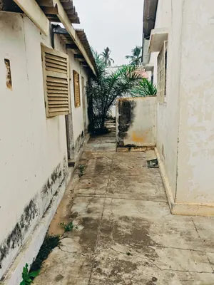 Terrain bâti 998 m² avec immeuble 3 pièces en vente à Super Taco, à 100m du goudron – 65 000 000 FCFA — photo 4