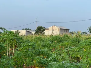 Terrain 579 m² en vente à Kovié Adidomé – à partir de 3 000 000 FCFA — photo 4