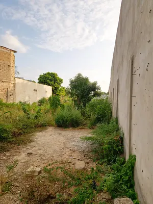 Vente d'un terrain au Rond-point Avinato (Légbassito), 1 lot, 559 m², titre foncier personnel – 35 millions FCFA — photo 5