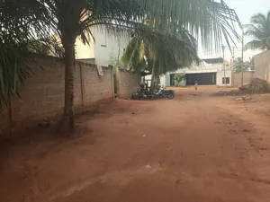 Maison 3 pièces sur demi-lot clôturé en vente à Zanguera Gendarmerie – 15 millions FCFA — photo 4