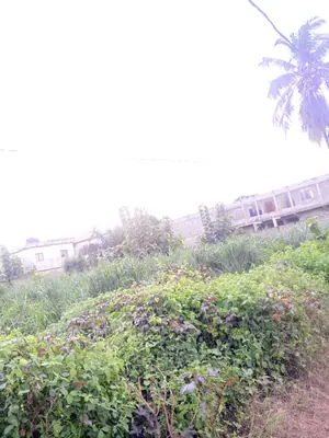 Terrain 1200 m² en vente en angle de rue à Adidogomé Attigangome – 33 millions FCFA le lot — photo 1