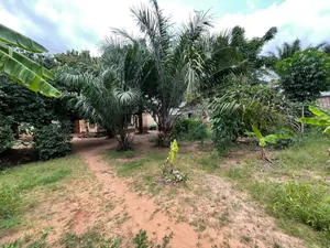 Terrain 750 m² en vente à Totsi – 60 millions FCFA — photo 3