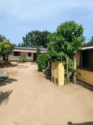 4 lots de terrain en angle de rue au bord du goudron à Segbé Akato – 48 millions FCFA le lot — photo 2