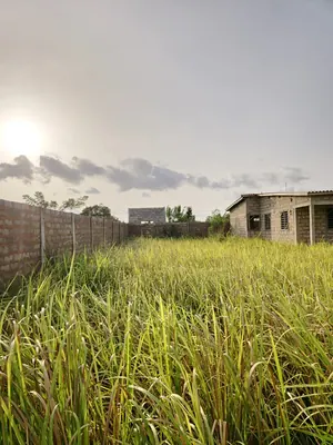 Terrain demi-lot clôturé en vente à Legbassito Kognito – 8,5 millions FCFA